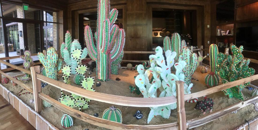 Southern Arizona Ritz-Carlton sugar cacti.